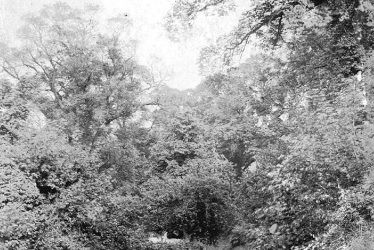 Warmington.  Church Lane
