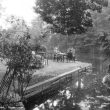 Warwick.  Sunshine by the river