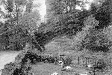 Warwick.  Mill Street, Tower tea gardens,