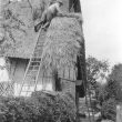 Welford on Avon.  Thatching a cottage