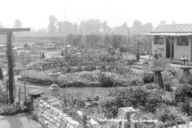 Wellesbourne.  Tea Gardens