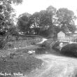 Walton.  Ford