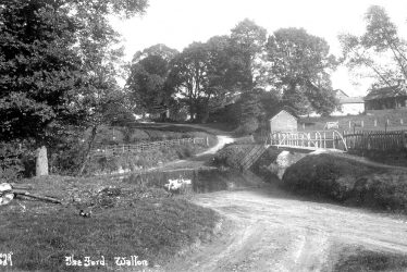 Walton.  Ford