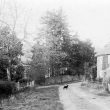 Ascott. Cottage