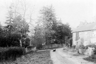 Ascott. Cottage