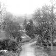 Whichford.  Country road