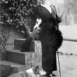 Warwick.  Countess of Warwick