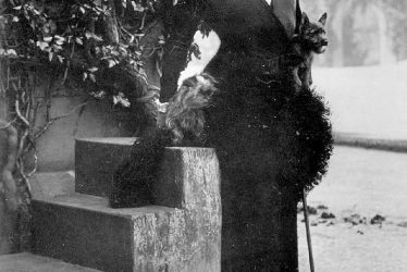 Warwick.  Countess of Warwick