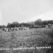 Warwick.  Warwickshire Yeomanry Tug of War