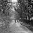 Whitacre, Over.  Sandy Lane