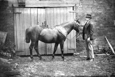 Nuneaton.  Iliffe's horse and groom