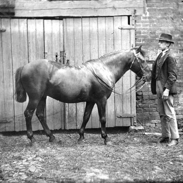 Nuneaton.  Iliffe's horse and groom