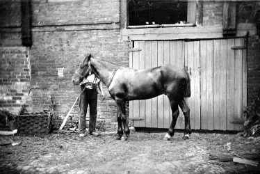 Nuneaton.  Webb's Horse