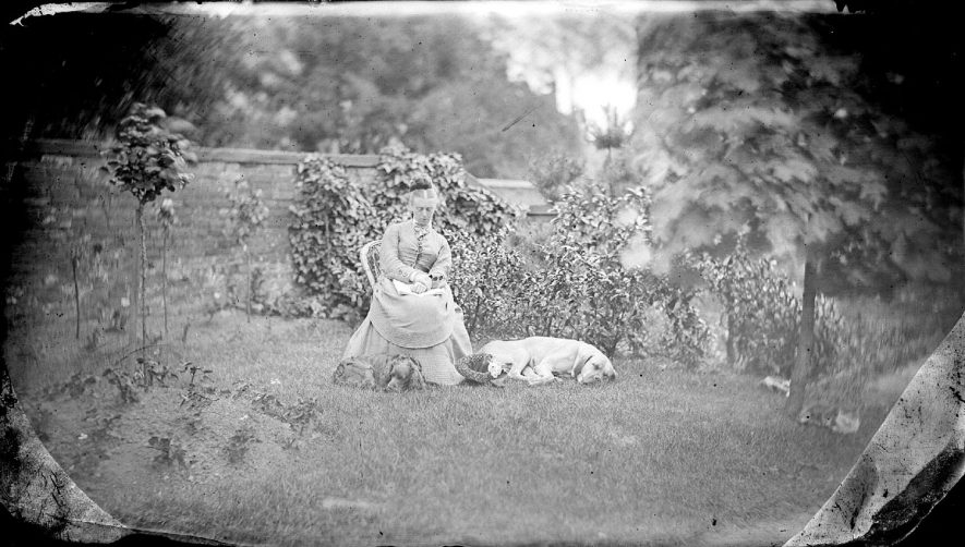 A woman seated in a walled garden with two dogs at her feet and two cats lying under tree, Nuneaton.  1900s |  IMAGE LOCATION: (Warwickshire County Record Office)