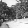 Atherstone.  Sheepy  Road