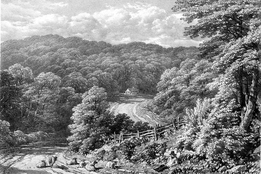 A country scene, somewhere near Atherstone.  1800s |  IMAGE LOCATION: (Warwickshire County Record Office)