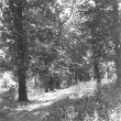 Atherstone.  Grove Walk