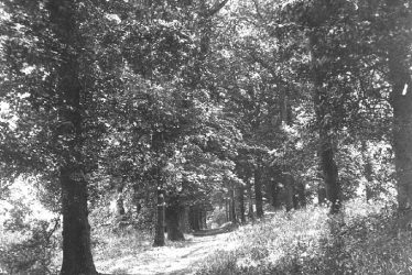 Atherstone.  Grove Walk