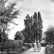 Bedworth.  Welfare Park