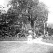 Bedworth.  Church Street, garden at Congreve House