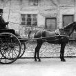 Bulkington.  Pony and trap
