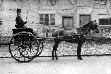 Bulkington.  Pony and trap