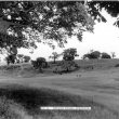 Atherstone.  Golf course