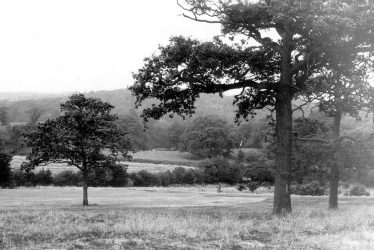 Atherstone.  Bluebell Wood from the golf course