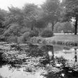 Nuneaton.  Riversley Park