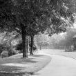 Nuneaton.  Riversley Park
