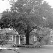 Griff House.