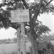 Twycross.  Gibbet Post