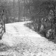 Nuneaton.  Path into the wood near Seawood Pool