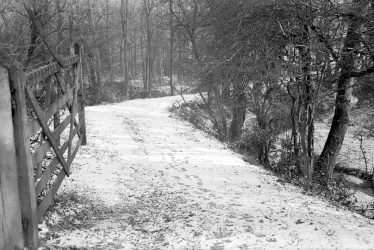Nuneaton.  Path into the wood near Seawood Pool