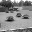 Nuneaton.  George Eliot gardens