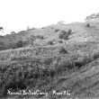 Meon Hill.