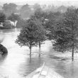 Nuneaton.  Riversley Park during floods