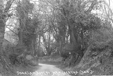 Astley.  Dark Lane
