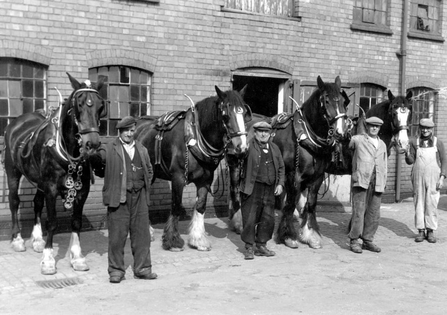 Heavy horses and their handlers at Nuneaton Borough Council's Chapel Street Depot.  1920s |  IMAGE LOCATION: (Nuneaton Library)