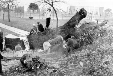 Nuneaton.  Pingles Fields