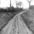 Galley Common.  Lane with road works notice