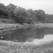Nuneaton.  Seeswood Pool