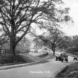 Coleshill.  Chelmsley Hill