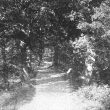 Coleshill.  Chelmsley Woods