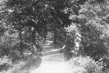 Coleshill.  Chelmsley Woods