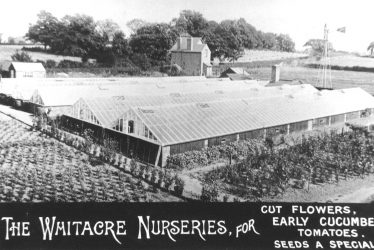 Nether Whitacre.  Whitacre Nurseries