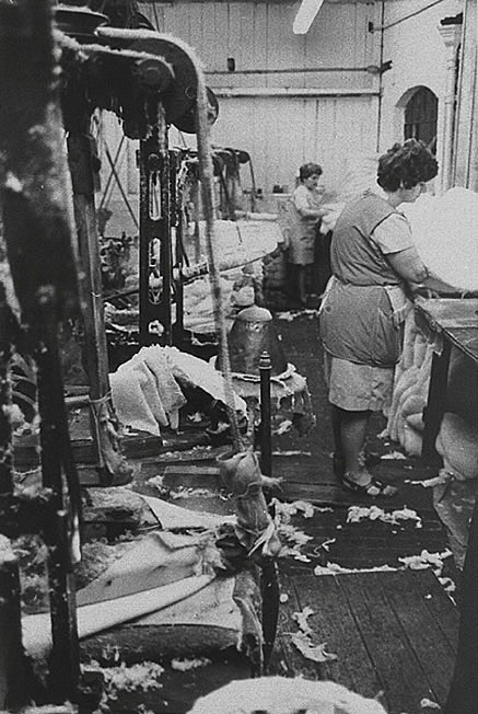 Hat making workshop in Atherstone. Workers in the hardening shop where the cones are prepared for felting.  1950s  [The last Chairman at Wilson & Stafford Ltd was Tony Stafford and who can verify these photographs.] |  IMAGE LOCATION: (Warwickshire Museums. Photographic Collections.)
