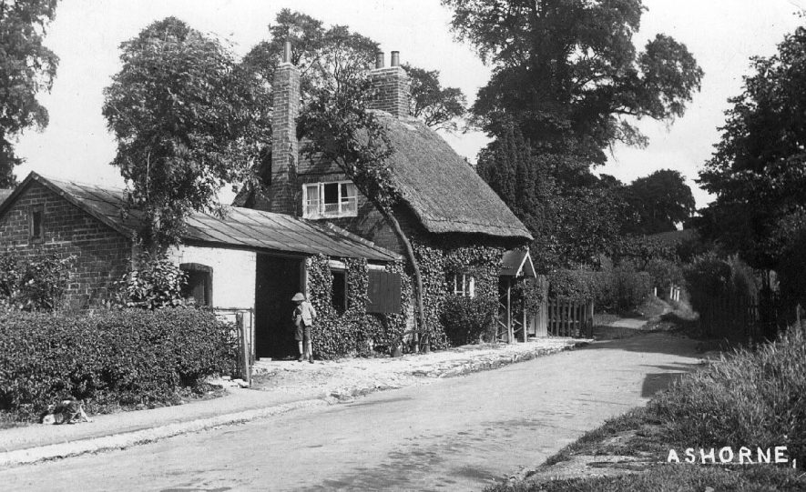 Thatched ivy clad cottage, with schoolchild, Ashorne.  1906 |  IMAGE LOCATION: (Warwickshire County Record Office)