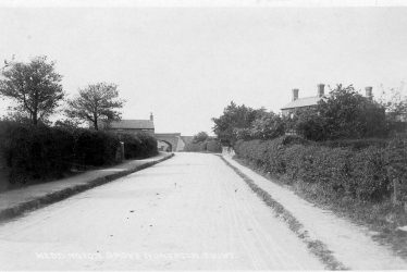 Weddington.  Grove
