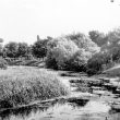 Nuneaton.  Riversley Park